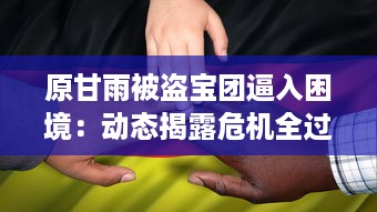 原甘雨被盗宝团逼入困境：动态揭露危机全过程与后续救援援助详情 v0.9.0下载